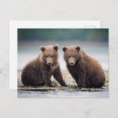 Kutest Baby Animals | Twee Beer kubussen Briefkaart (Voorkant / Achterkant)