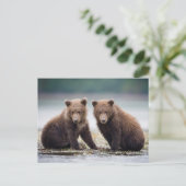 Kutest Baby Animals | Twee Beer kubussen Briefkaart (Staand voorkant)