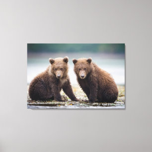 Kutest Baby Animals Twee Beer kubussen Canvas Afdruk