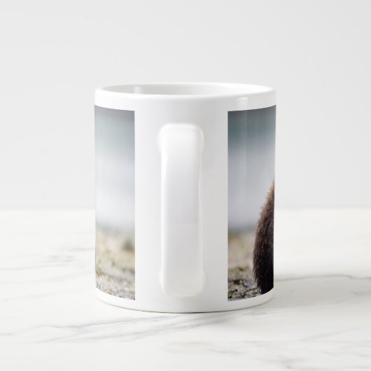 Kutest Baby Animals | Twee Beer kubussen Grote Koffiekop (Achterkant)