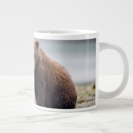 Kutest Baby Animals | Twee Beer kubussen Grote Koffiekop (Rechts)