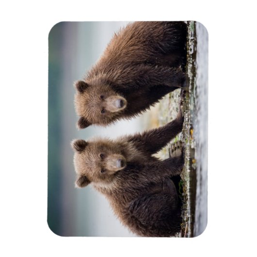 Kutest Baby Animals | Twee Beer kubussen Magneet (Verticaal)