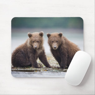 Kutest Baby Animals Twee Beer kubussen Muismat