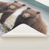 Kutest Baby Animals | Twee Beer kubussen Sherpa Deken (3/4)