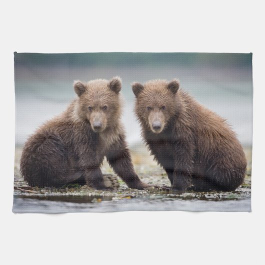 Kutest Baby Animals | Twee Beer kubussen Theedoek (Horizontaal)