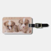 Kutest Baby Animals | Twee Corgi-Puppies Bagagelabel (Voorkant horizontaal)
