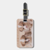 Kutest Baby Animals | Twee Corgi-Puppies Bagagelabel (Voorkant verticaal)