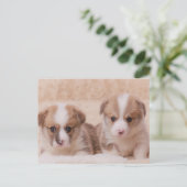 Kutest Baby Animals | Twee Corgi-Puppies Briefkaart (Staand voorkant)