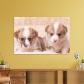 Kutest Baby Animals | Twee Corgi-Puppies Canvas Afdruk (Insitu (Woonkamer))
