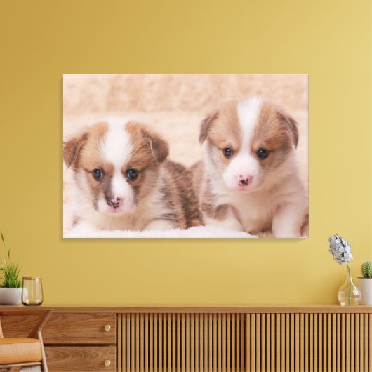 Kutest Baby Animals | Twee Corgi-Puppies Canvas Afdruk (Insitu (Woonkamer))