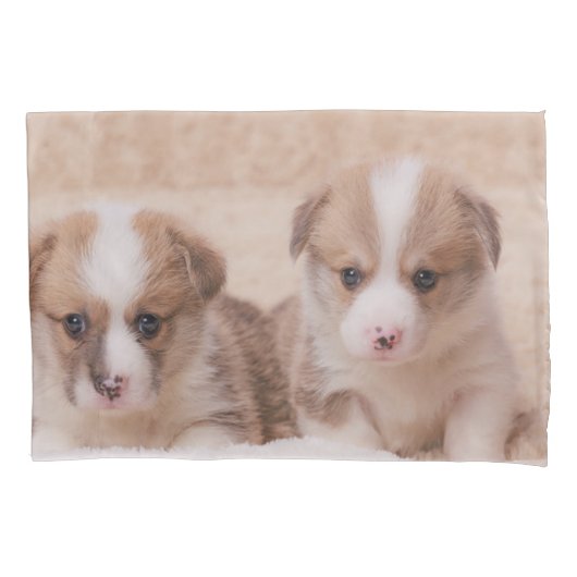 Kutest Baby Animals | Twee Corgi-Puppies Kussensloop (Voorkant)