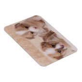 Kutest Baby Animals | Twee Corgi-Puppies Magneet (Rechterzijde)