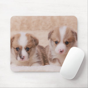 Kutest Baby Animals   Twee Corgi-Puppies Muismat