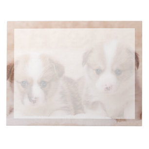 Kutest Baby Animals Twee Corgi-Puppies Notitieblok