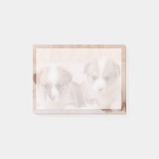 Kutest Baby Animals | Twee Corgi-Puppies Post-it® Notes (Voorkant)