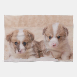 Kutest Baby Animals Twee Corgi-Puppies Theedoek