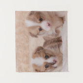 Kutest Baby Animals | Twee Corgi-Puppies Wandkleed (Voorkant)