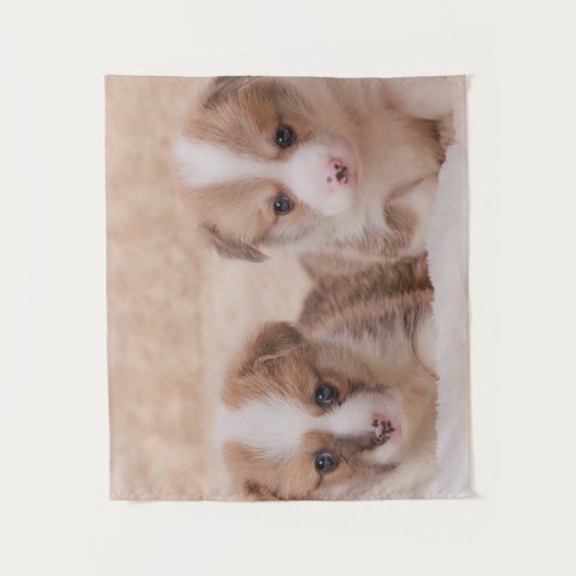 Kutest Baby Animals | Twee Corgi-Puppies Wandkleed (Voorkant)
