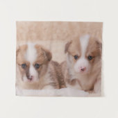 Kutest Baby Animals | Twee Corgi-Puppies Wandkleed (Voorkant (horizontaal))