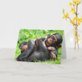 Kutest Baby Animals | Twee jonge Chimpansees Kaart (Gele Bloem)