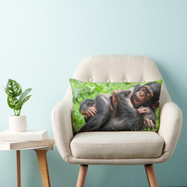 Kutest Baby Animals | Twee jonge Chimpansees Kussen (Stoel)