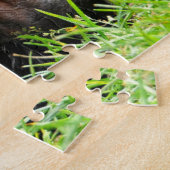 Kutest Baby Animals | Twee jonge Chimpansees Legpuzzel (Zijkant)