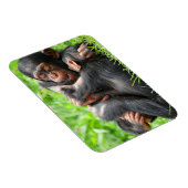 Kutest Baby Animals | Twee jonge Chimpansees Magneet (Rechterzijde)
