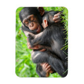 Kutest Baby Animals | Twee jonge Chimpansees Magneet (Verticaal)