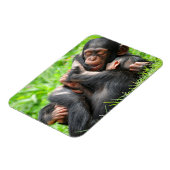 Kutest Baby Animals | Twee jonge Chimpansees Magneet (Linkerzijde)