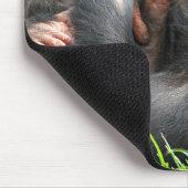 Kutest Baby Animals | Twee jonge Chimpansees Muismat (Hoek)