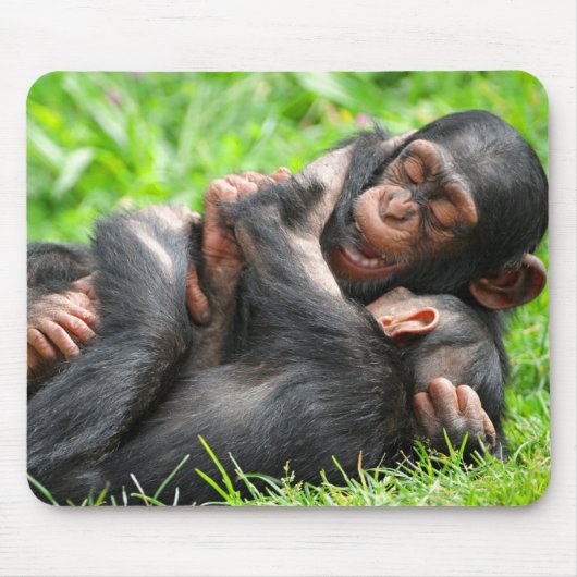 Kutest Baby Animals | Twee jonge Chimpansees Muismat (Voorkant)