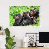 Kutest Baby Animals | Twee jonge Chimpansees Poster (Thuiskantoor)