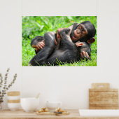 Kutest Baby Animals | Twee jonge Chimpansees Poster (Keuken)