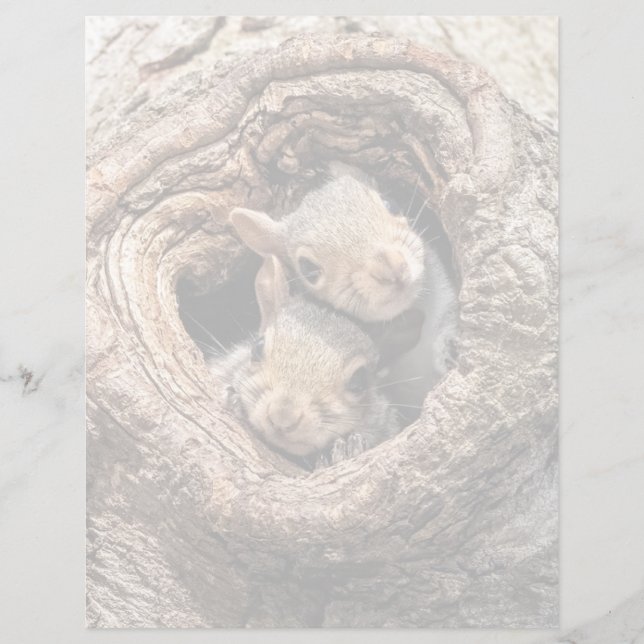 Kutest Baby Animals | Twee jonge eekhoorns (Voorkant)