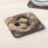 Kutest Baby Animals | Twee jonge eekhoorns Bier Onderzetter (Linkerzijde)