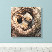 Kutest Baby Animals | Twee jonge eekhoorns Canvas Afdruk (Insitu (Houten vloer))