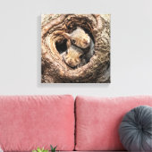 Kutest Baby Animals | Twee jonge eekhoorns Canvas Afdruk (Insitu (Woonkamer))