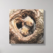 Kutest Baby Animals | Twee jonge eekhoorns Canvas Afdruk (Voorkant)