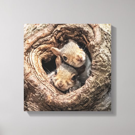 Kutest Baby Animals | Twee jonge eekhoorns Canvas Afdruk (Voorkant)