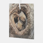 Kutest Baby Animals | Twee jonge eekhoorns Glas Ornament (Voorkant links)