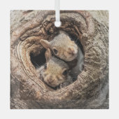 Kutest Baby Animals | Twee jonge eekhoorns Glas Ornament (Voorkant)