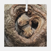 Kutest Baby Animals | Twee jonge eekhoorns Glas Ornament (Achterkant)