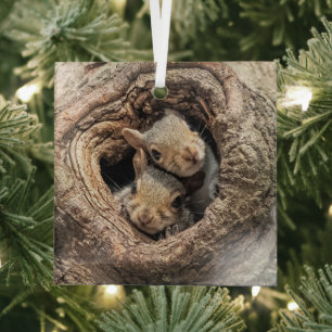 Kutest Baby Animals   Twee jonge eekhoorns Glas Ornament