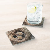 Kutest Baby Animals | Twee jonge eekhoorns Glazen Onderzetter (Schuin)