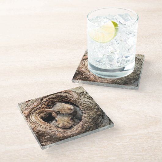 Kutest Baby Animals | Twee jonge eekhoorns Glazen Onderzetter (Schuin)