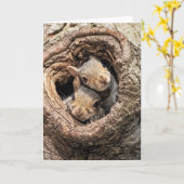 Kutest Baby Animals | Twee jonge eekhoorns Kaart (Gele Bloem)