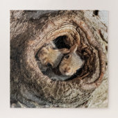 Kutest Baby Animals | Twee jonge eekhoorns Legpuzzel (Horizontaal)