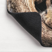 Kutest Baby Animals | Twee jonge eekhoorns Muismat (Hoek)