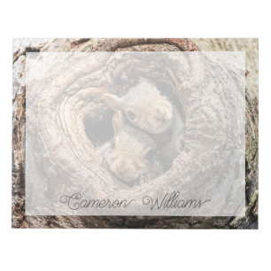 Kutest Baby Animals   Twee jonge eekhoorns Notitieblok