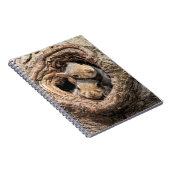 Kutest Baby Animals | Twee jonge eekhoorns Notitieboek (Rechterzijde)